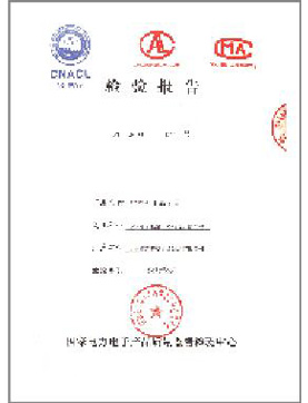 檢驗(yàn)報(bào)告